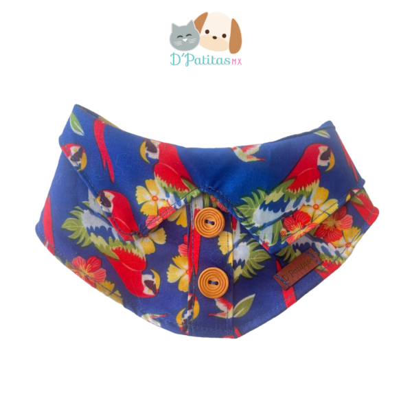 Cuellito Tropical