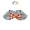 Cuello Calabazin