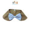 Cuello Musgo